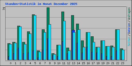 Stunden-Statistik im Monat Dezember 2025