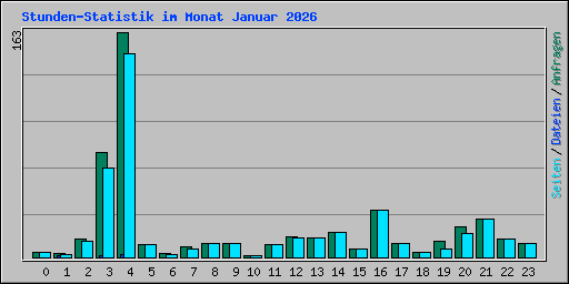 Stunden-Statistik im Monat Januar 2026