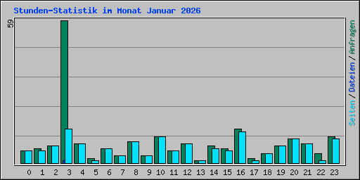 Stunden-Statistik im Monat Januar 2026