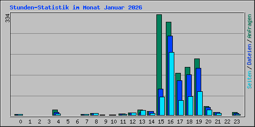 Stunden-Statistik im Monat Januar 2026