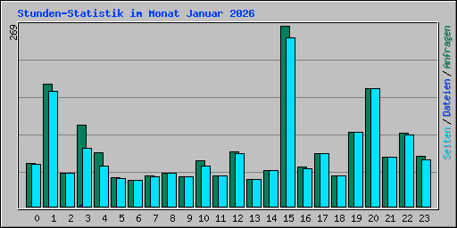 Stunden-Statistik im Monat Januar 2026