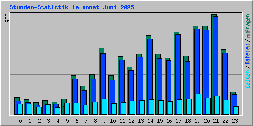 Stunden-Statistik im Monat Juni 2025