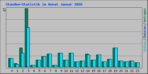 Stunden-Statistik im Monat Januar 2026
